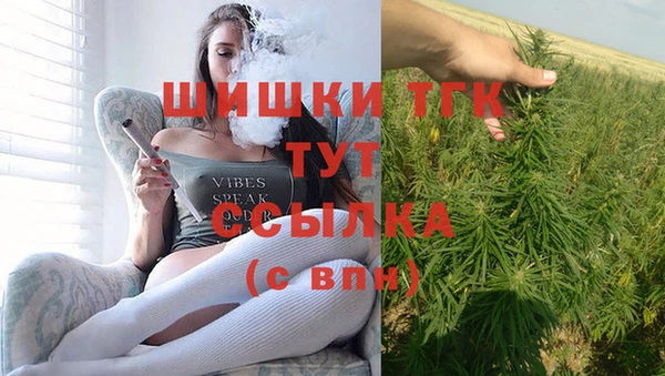 гидра Бугульма